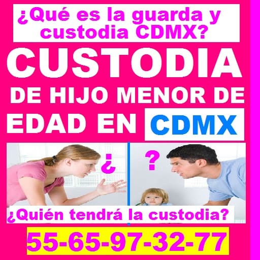que es la guarda y custodia en cdmx